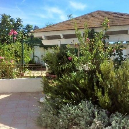 Appartement 3 Chambres Proche Mer Entre Palavas Les Flots Et Frontignan Plage Dans Maison Avec Jardin Villeneuve-lès-Maguelonne Esterno foto