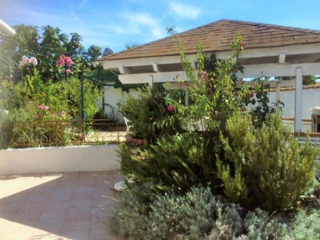 Appartement 3 Chambres Proche Mer Entre Palavas Les Flots Et Frontignan Plage Dans Maison Avec Jardin Villeneuve-lès-Maguelonne Esterno foto